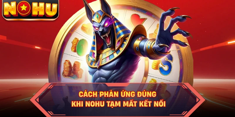 Cách phản ứng đúng khi NOHU tạm mất kết nối 
