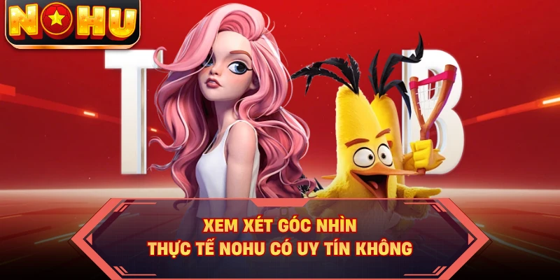Xem xét góc nhìn thực tế NOHU có uy tín không